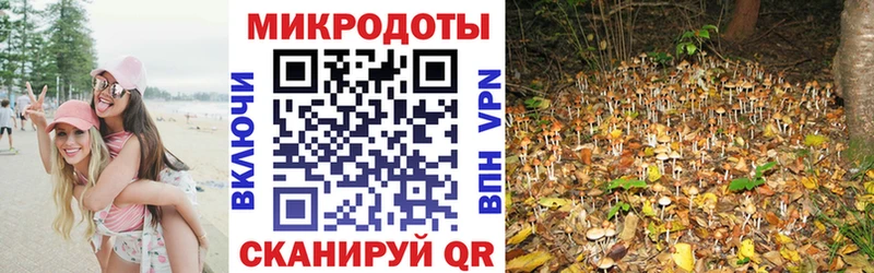 Купить закладки  Калач-на-Дону  Галлюциногенные грибы GOLDEN TEACHER 